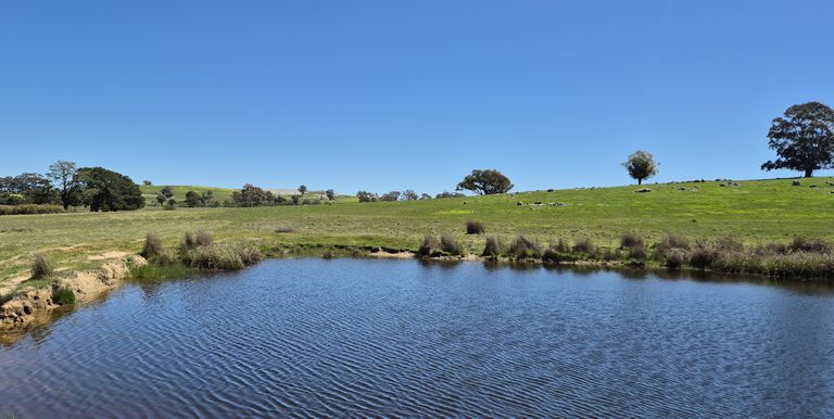 Lot 1 Longwood Ruffy Road , Ruffy