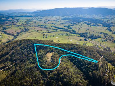 Lot 22 Barrabaroo Road, Cobargo