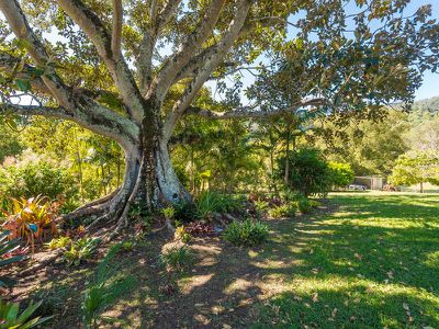 26 Shipway Road, Nimbin