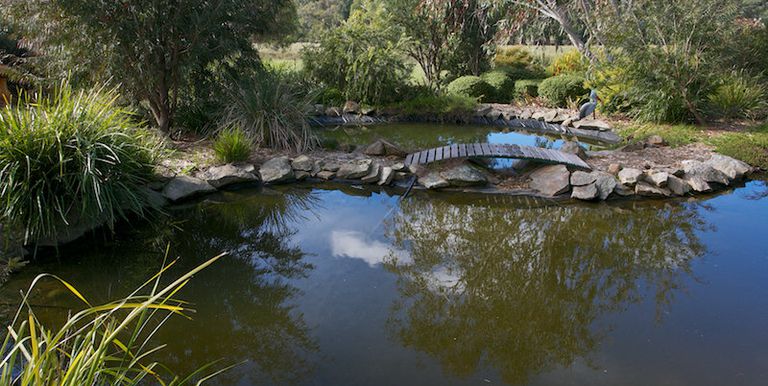 398 Bonnie Doon Road, Strathbogie