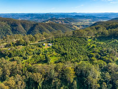480 Ponsfords Road, Comboyne