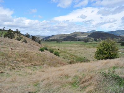 . Mitta North Road, Mitta Mitta