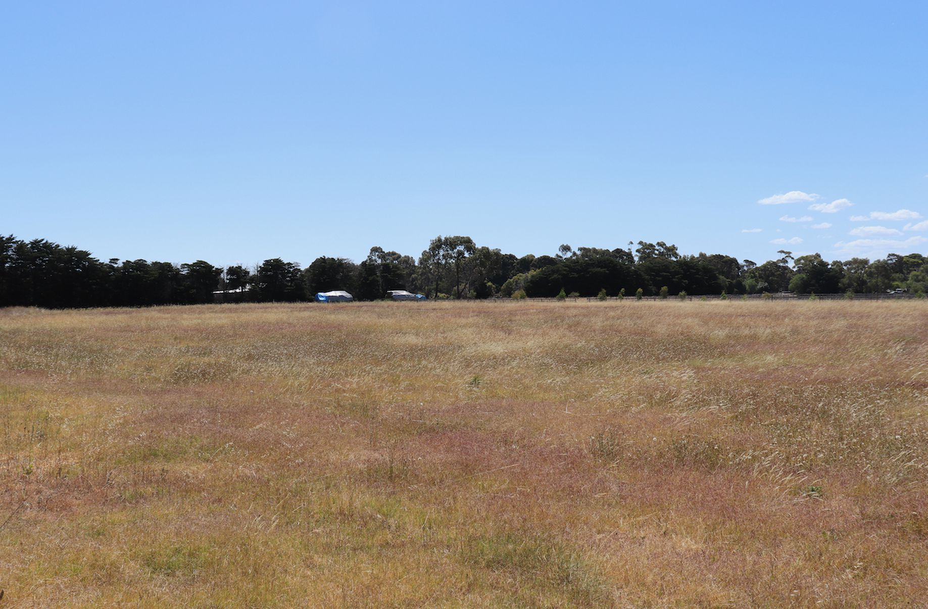 Lot 63, Jubilee Street, Inverleigh