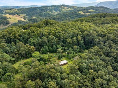 476 WALLACE ROAD, Terania Creek
