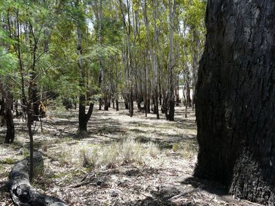 Lot 12 La Belle Court, Tocumwal
