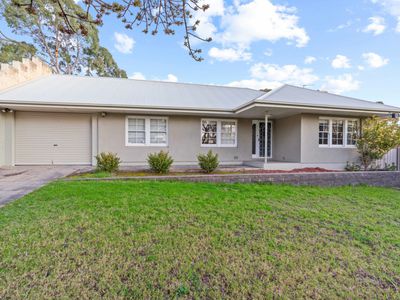 62 Sturdee Street, Linden Park