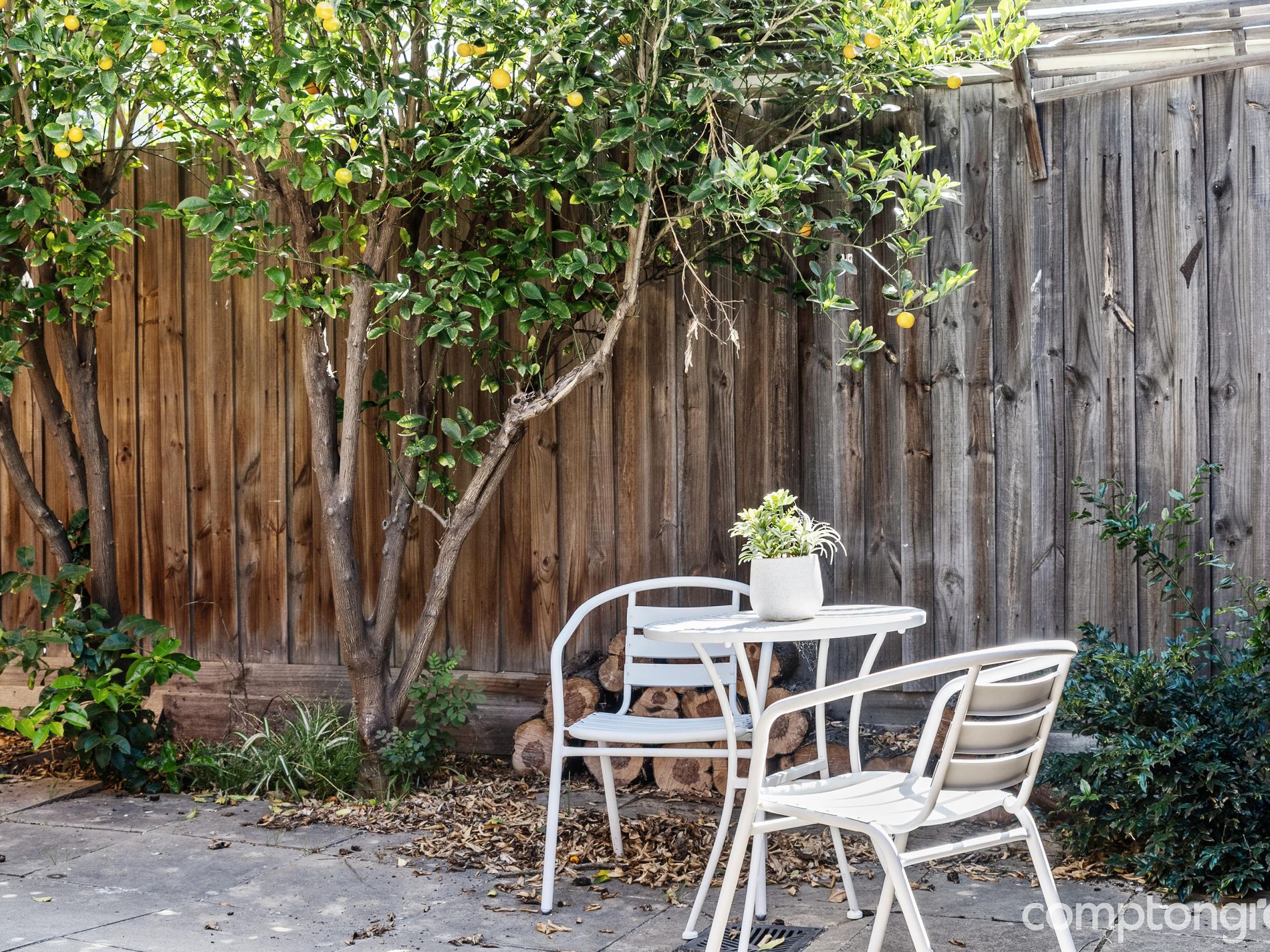 6 / 24 Newcastle Street, Newport