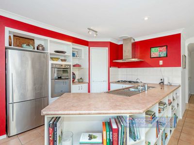17 Golden Penda Place, Mullumbimby