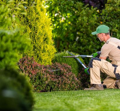 High-Margin Garden Maintenance Business | Long-Term Clients | $255K+ Net Profit