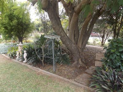 6 Hazelmount Terrace, Kingaroy