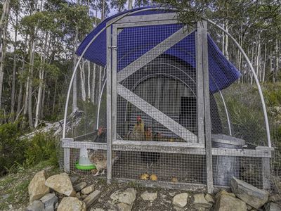 172 Goodwins Road, Upper Woodstock
