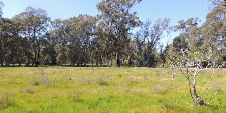109-117 Boundary Road South, Euroa