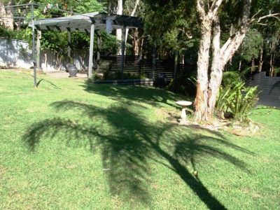 47 Jacaranda Avenue, Figtree