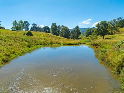 343 Walli Mountain Road, Kenilworth