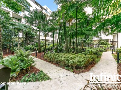 3703 / 5 GADIGAL AVENUE, Waterloo