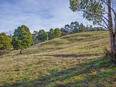 Lot 2, Andrewartha Road, Raminea