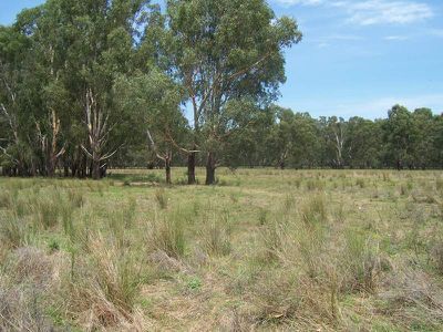 Enfield Street, Corowa