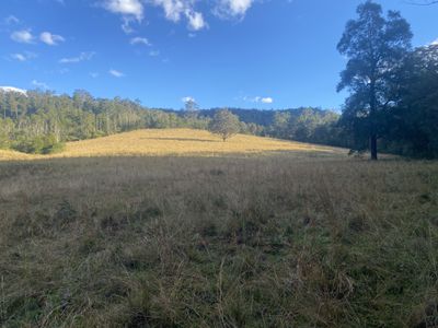 Lot 94, 2667 Pappinbarra Road, Pappinbarra