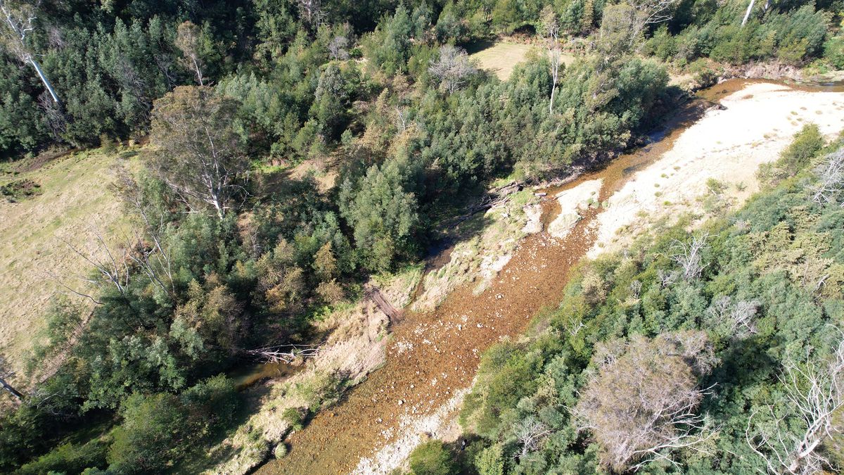 115 Gulph Creek Road, Nerrigundah