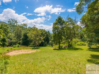 2210 Nimbin Road, Coffee Camp