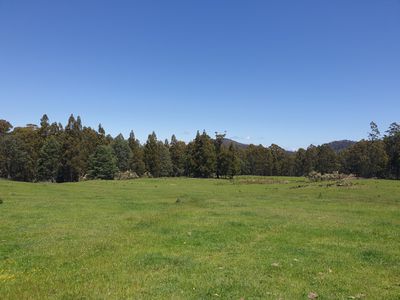 Lot 1 (99 Acres), Coal Mine Road, Kaoota