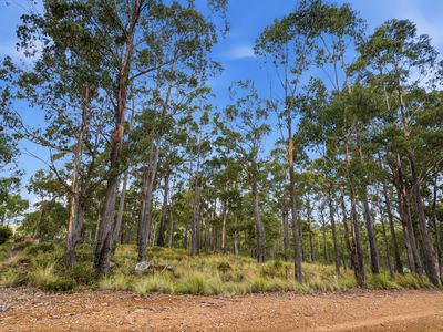 18 Little Spit Road, Lake Leake