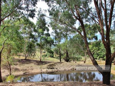 189 Star of the Glen Road, Bonnie Doon