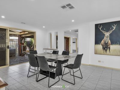 16 Dryandra Place, Cranbourne