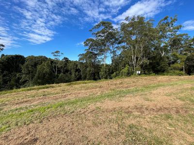 42 Old Palmwoods Road, West Woombye