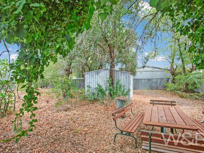26 Curzon Street, Camden Park
