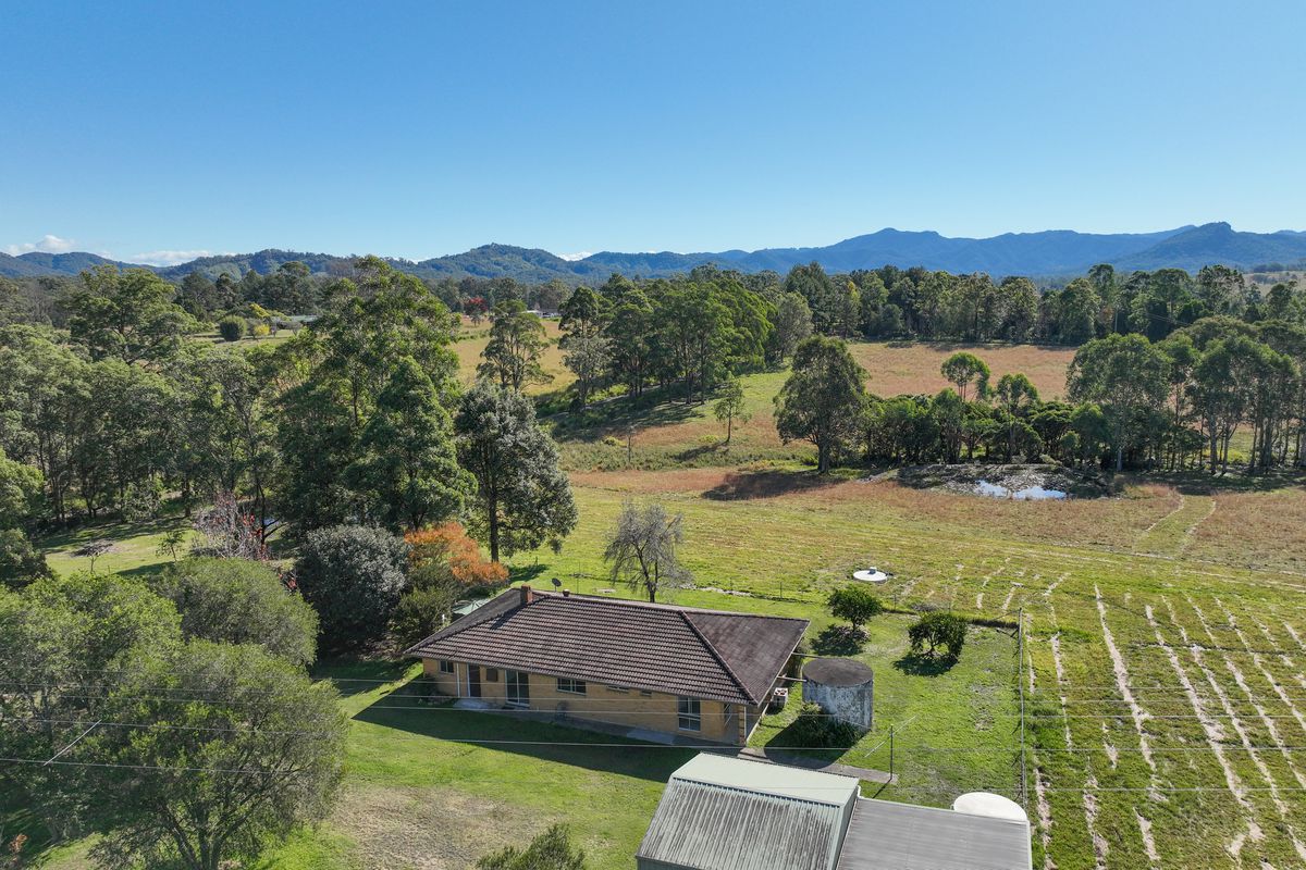 40 Yarratt Road, Cedar Party