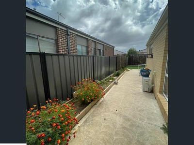 59 Bliss Street, Point Cook
