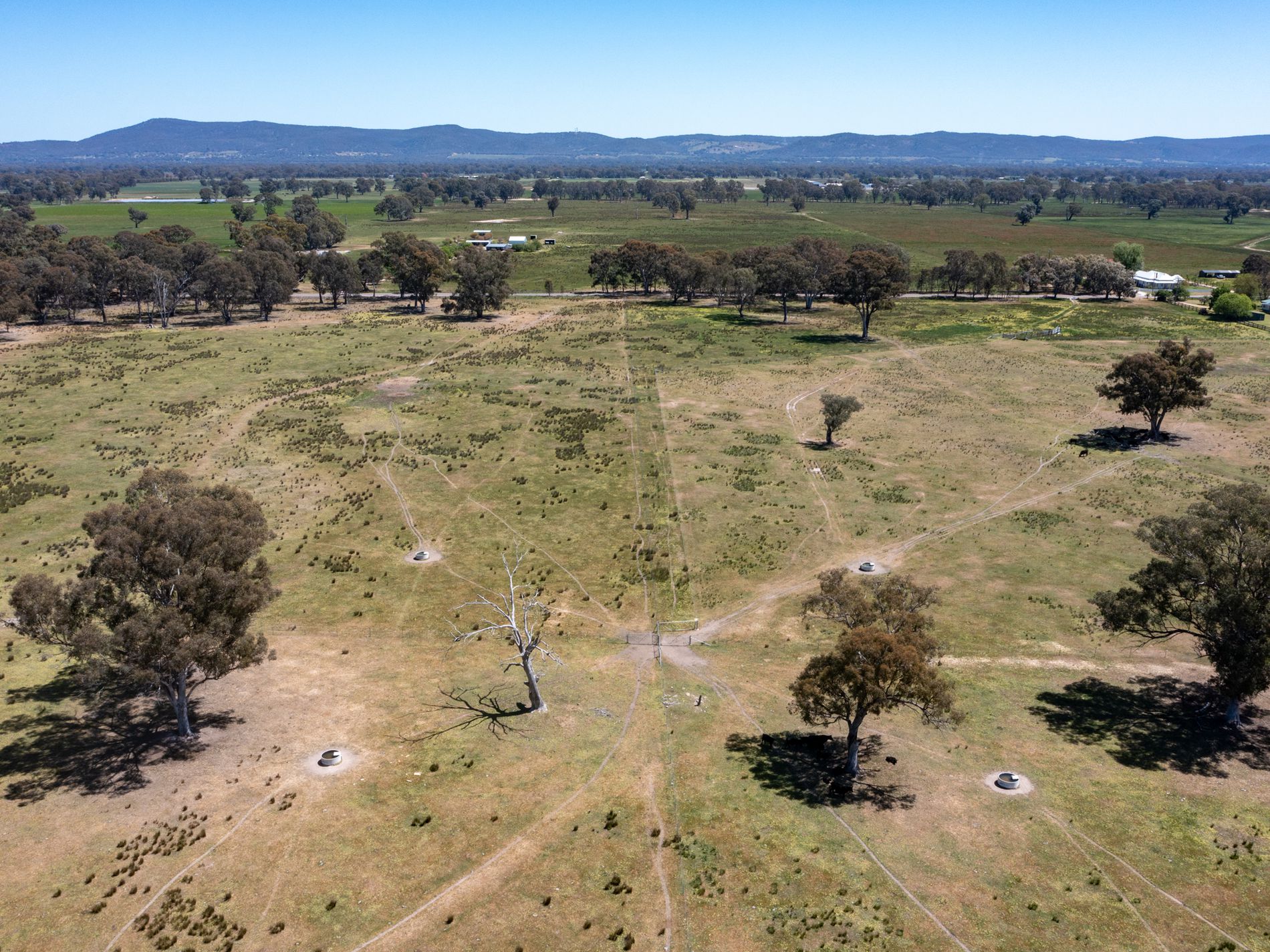 377 Laceby-Targoora Road, Laceby