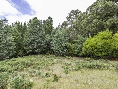 Lot 2, Fyfes Road, Mountain River