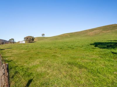 1209 Tallangatta Creek Road, Tallangatta Valley