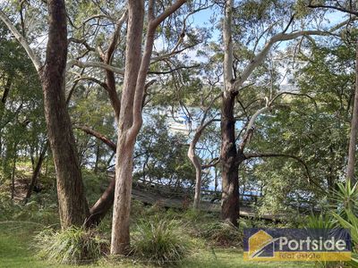59 James Scott Crescent, Lemon Tree Passage
