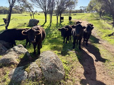 967 Bunmulling Road, East Popanyinning