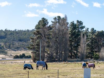 Lot 1, William Street, Oatlands