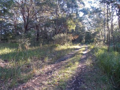 Ourimbah