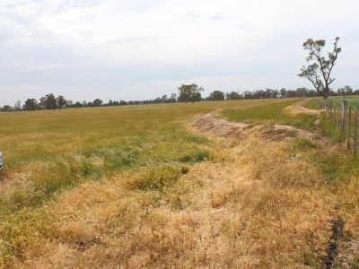 748 Hinkson Road, Myall