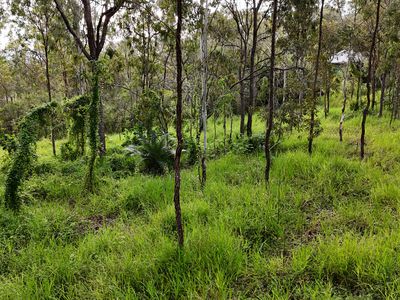 Lot 921, Bulankoff Road, Tolga