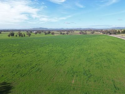 'Willowbank' Urana Road, Jindera
