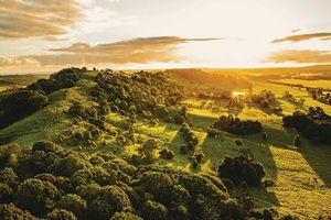 Navigating the Northern Rivers Property Market with Confidence