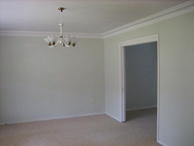 Mount Warrigal