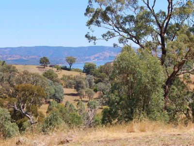 1286 Howes Creek Road, Mansfield