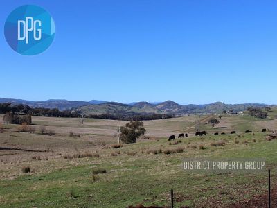 487 Old Tonga Road, Mansfield