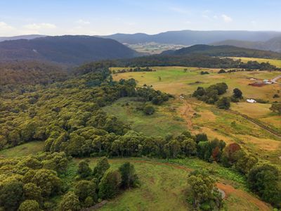 28834 Tasman Highway, Weldborough