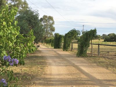 167 Tynan Road, Table Top