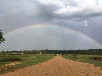 337 Kumbia Minmore Road, Kingaroy