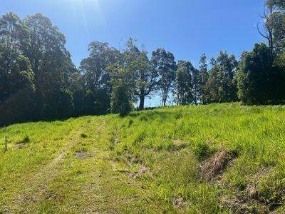 Lot 8, 345 Tuntable Falls Road, Nimbin